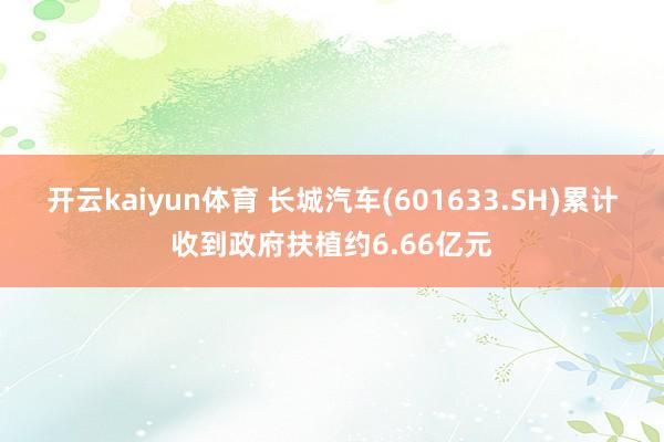 开云kaiyun体育 长城汽车(601633.SH)累计收到政府扶植约6.66亿元