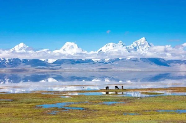 kaiyun.com 西藏的春天，把照相师皆逼疯了...