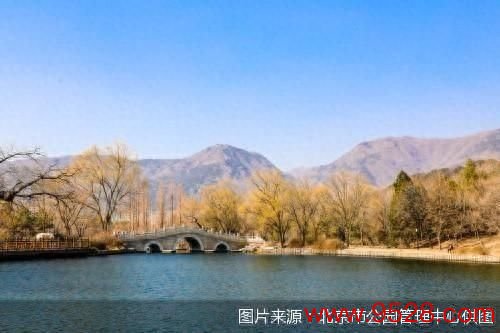 开云kaiyun 北京市属公园开启春季踏青赏花季行径