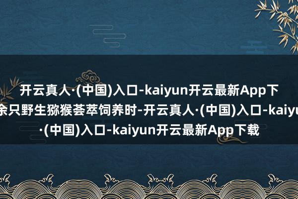 开云真人·(中国)入口-kaiyun开云最新App下载“猕猴案中的200余只野生猕猴荟萃饲养时-开云真人·(中国)入口-kaiyun开云最新App下载