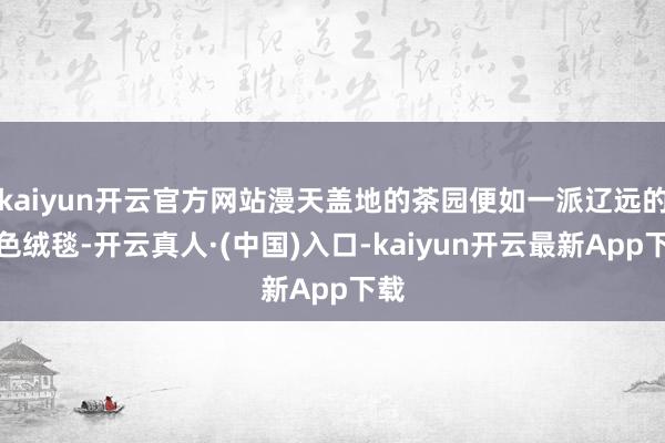 kaiyun开云官方网站漫天盖地的茶园便如一派辽远的绿色绒毯-开云真人·(中国)入口-kaiyun开云最新App下载
