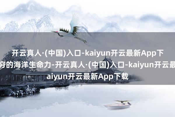 开云真人·(中国)入口-kaiyun开云最新App下载解说出无穷的海洋生命力-开云真人·(中国)入口-kaiyun开云最新App下载
