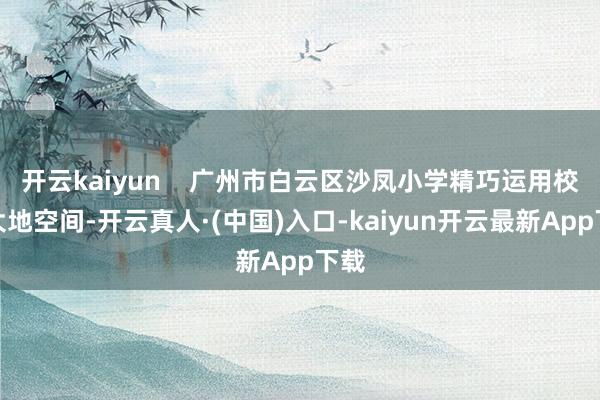 开云kaiyun    广州市白云区沙凤小学精巧运用校园大地空间-开云真人·(中国)入口-kaiyun开云最新App下载