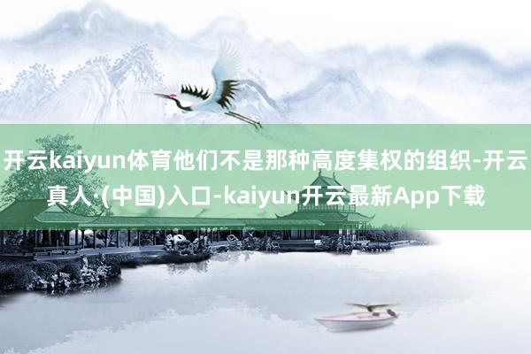 开云kaiyun体育他们不是那种高度集权的组织-开云真人·(中国)入口-kaiyun开云最新App下载