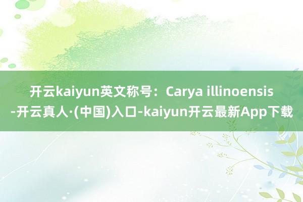 开云kaiyun　　英文称号：Carya illinoensis-开云真人·(中国)入口-kaiyun开云最新App下载
