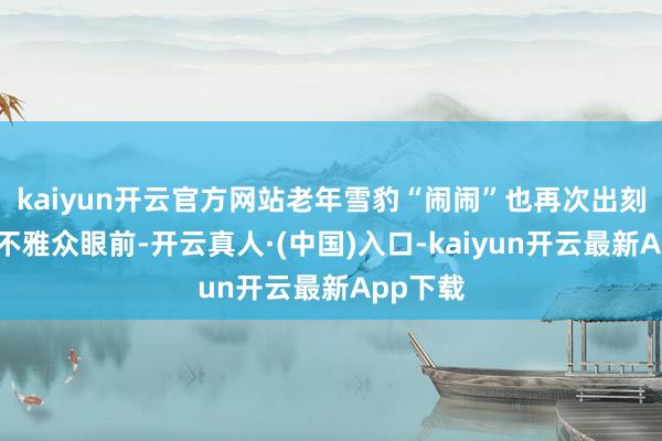 kaiyun开云官方网站老年雪豹“闹闹”也再次出刻下浩大不雅众眼前-开云真人·(中国)入口-kaiyun开云最新App下载